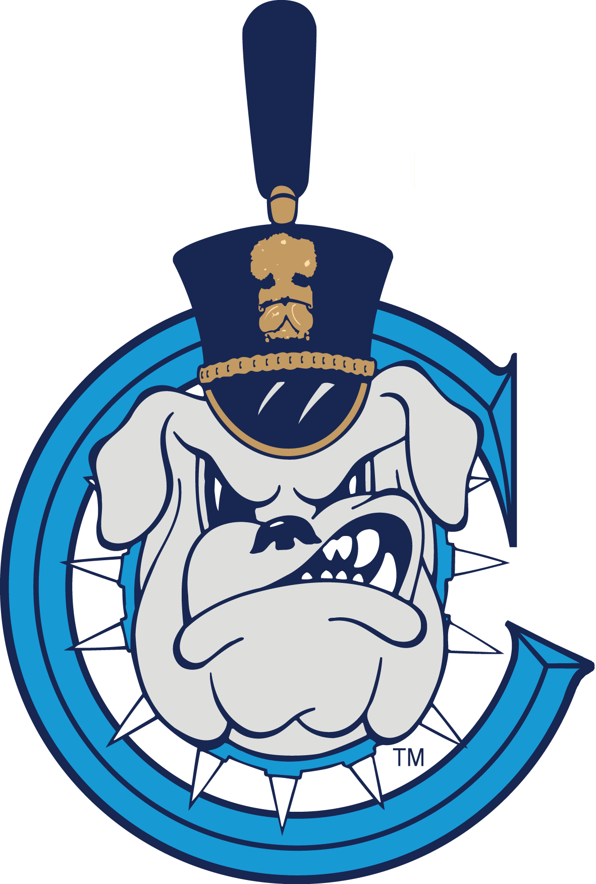 The Citadel Bulldogs 0-Pres Secondary Logo diy iron on heat transfer